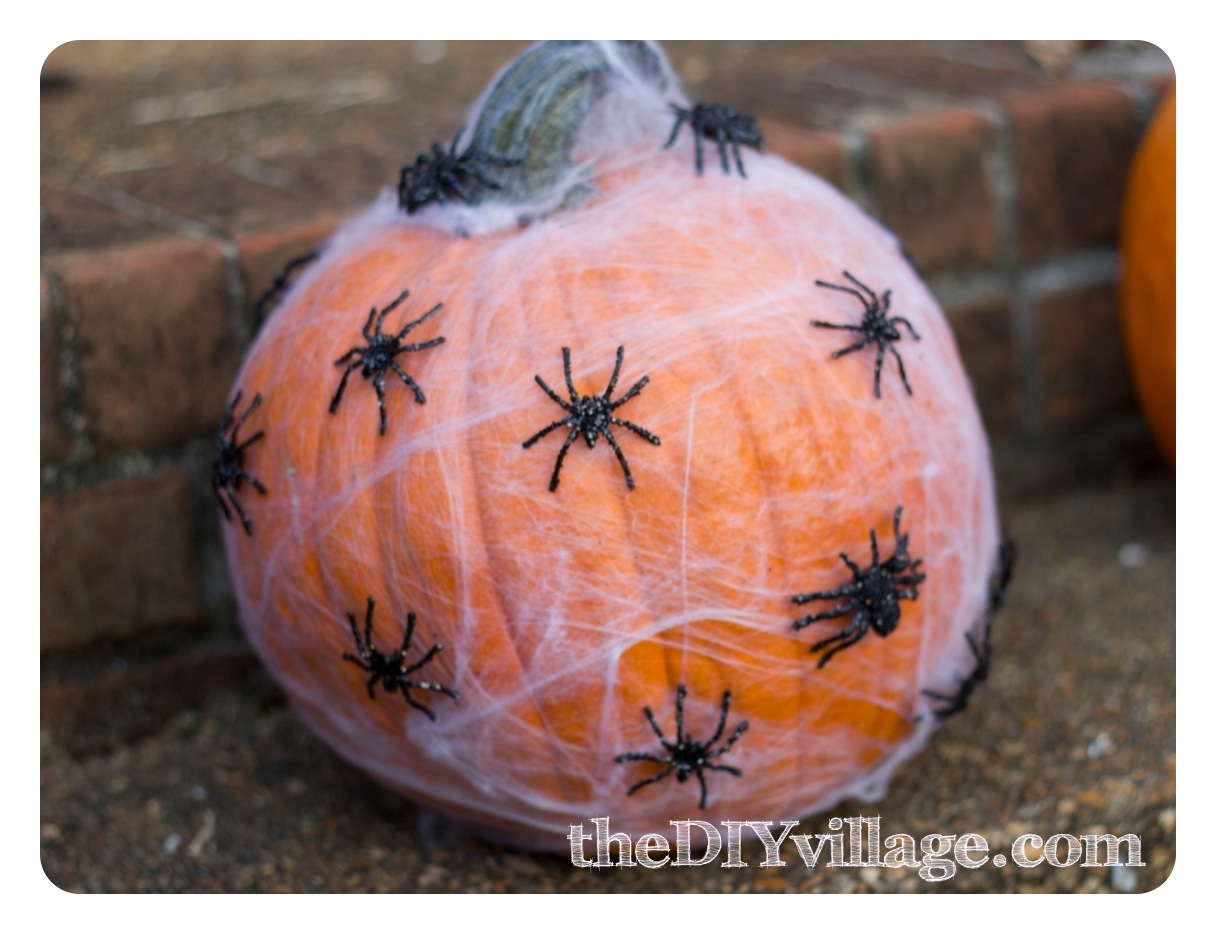 The Pumpkin Spider