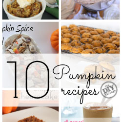 10 Pumpkin Recipes for Fall - The DIY Village